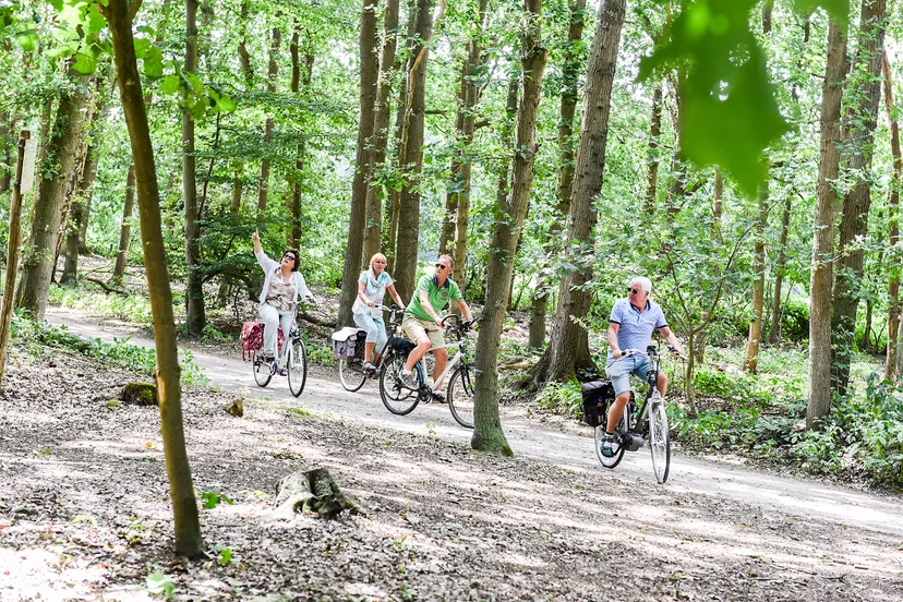 3231 3269650cbb1f7b08f5e3fa08ad574a7c