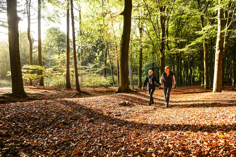 3231 b516e9f0e3dad9d0cc9e86cd51fcb576