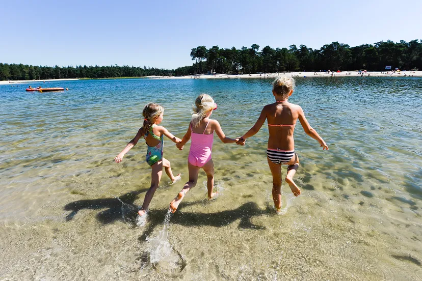 3231 ef607d79a6a60704e0c4bcaf6a48f111