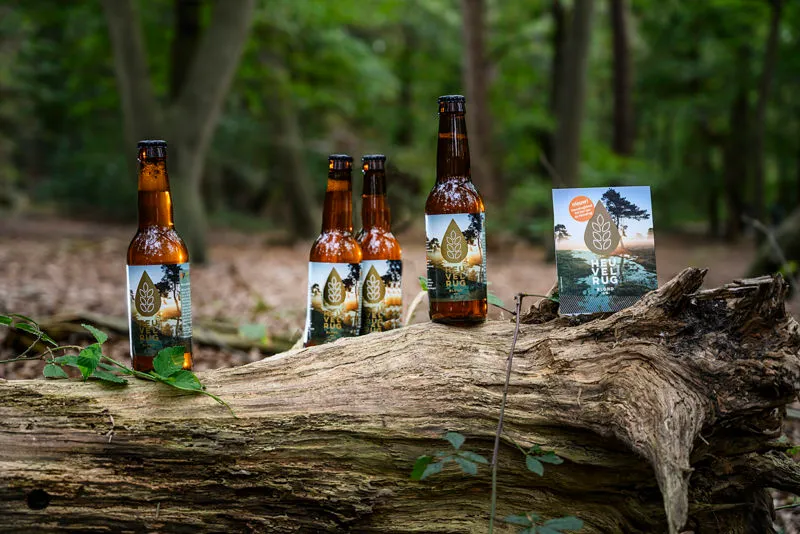 3231 fd381054a8d7d6083741cc29eede0874 e1604304727975