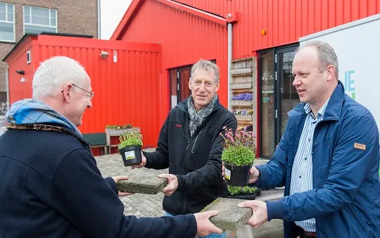 4499 fullimage inwoner amersfoort ruilt tegels in voor tuinplant foto hans niezen