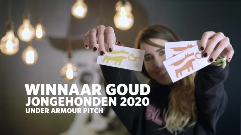 aida merino jongehonden pitch lvb e1579533667649