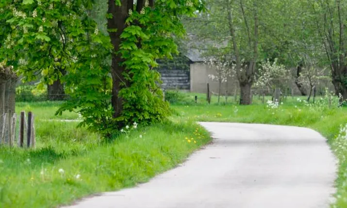 coelhorst 4 e1532591609393