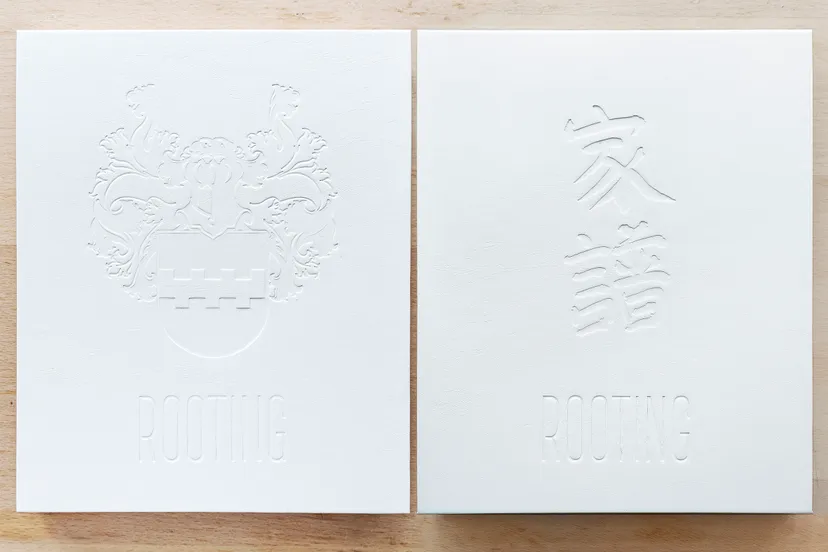 cover book rooting cara louwman