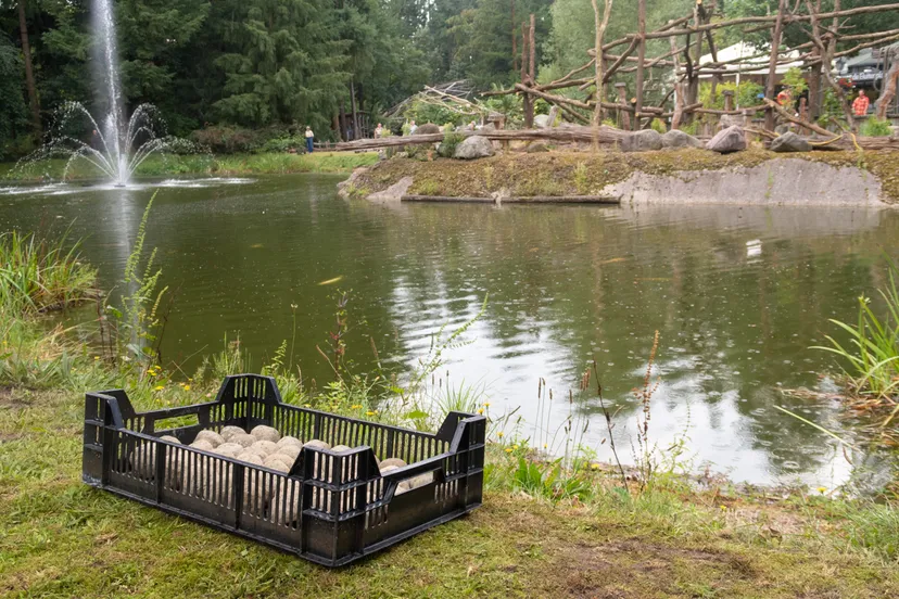 de milieuvriendelijke aanpak is het advies van agriton leverancier en producent van natuurlijke producten