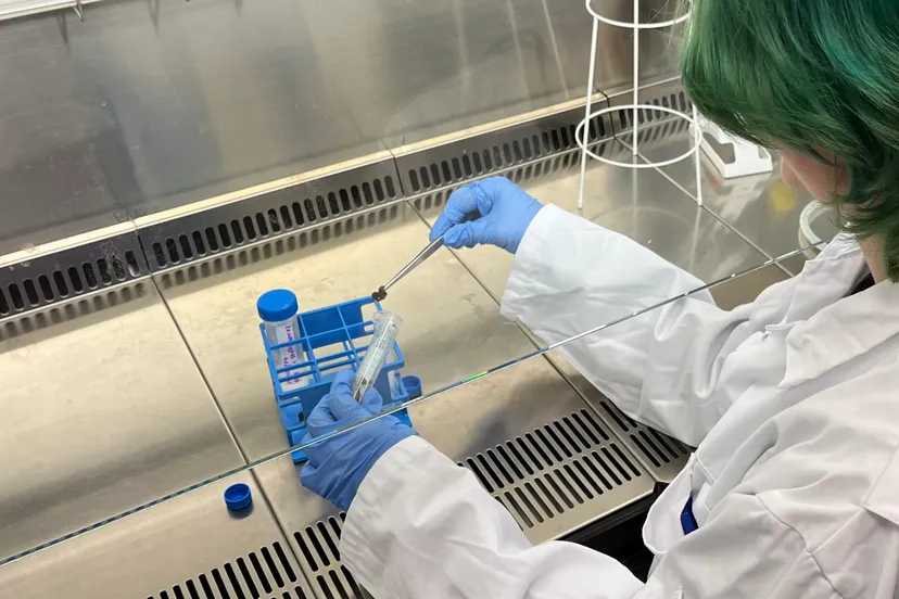 de onderzoekers hebben de ontlasting van 21 diersoorten met elkaar vergeleken