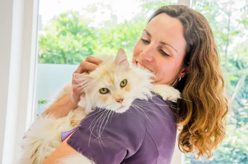 dierenarts kim landzaat dierenkliniek kattenbroek e1605194350806