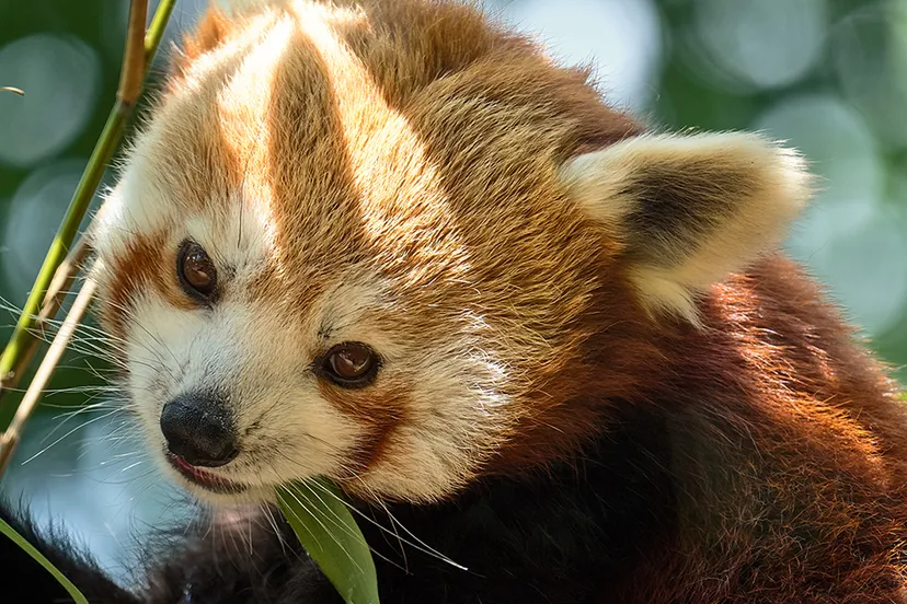 dierenpark amersfoort 2