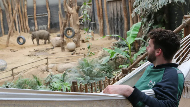 dierverzorger rob slaapt bij de olifanten e1583866563967