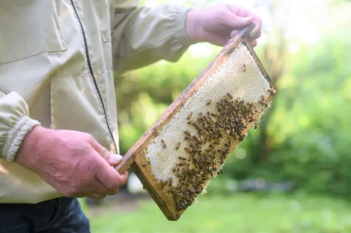 dsc 8148 foto4 e1531249067888