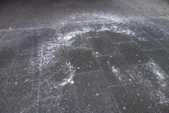 dsc5670 e1486500258280