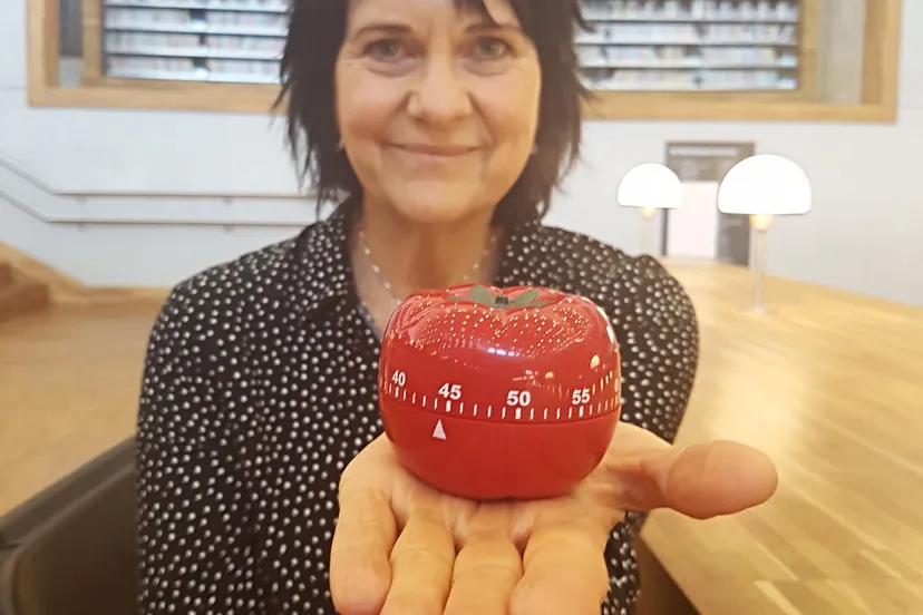 eemland studyshare diny 2