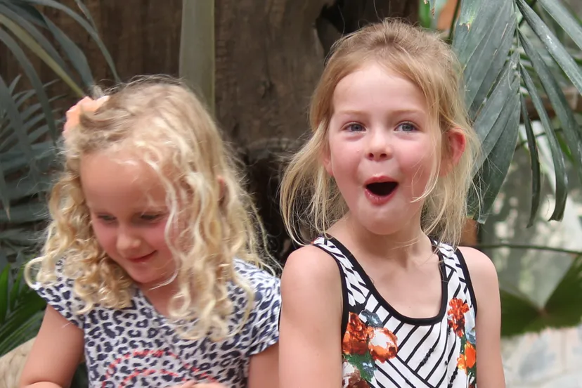 feest in dierenpark amersfoort