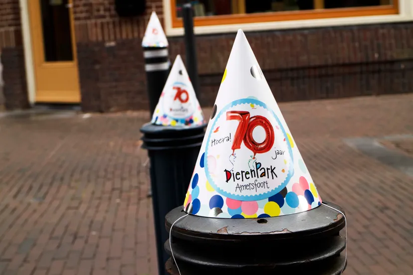 feesthoedjes in amersfoort
