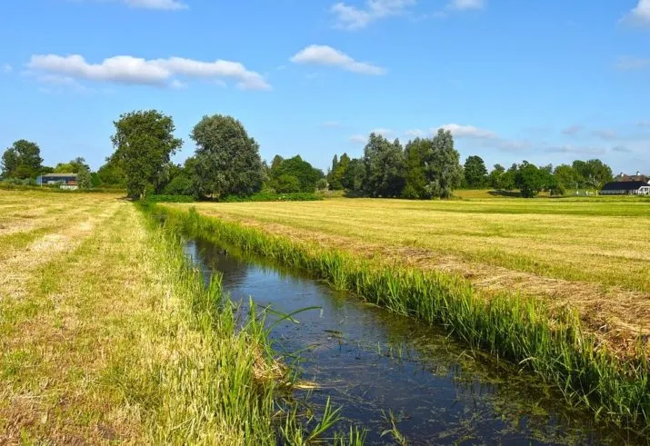 field 3483757 1280 e1532089874163