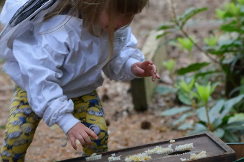 foto wichert van den brink