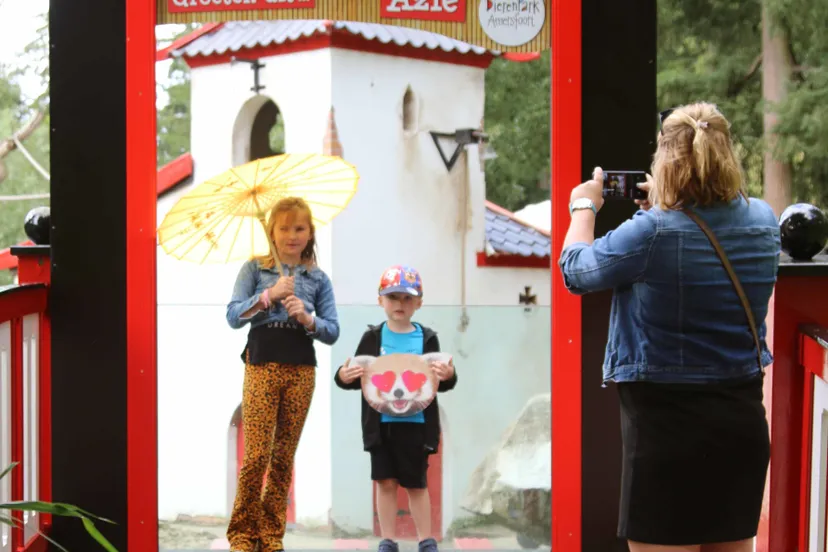 groeten uit azi e1596014400844