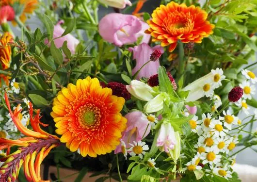 hendrik alting juu6nz3 4ss unsplash