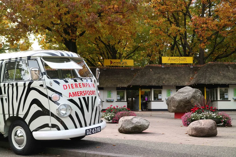 huidige vw busje dierenpark amersfoort