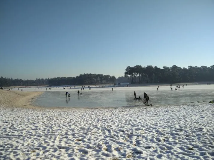 img 20170122 111143 e1485431062158