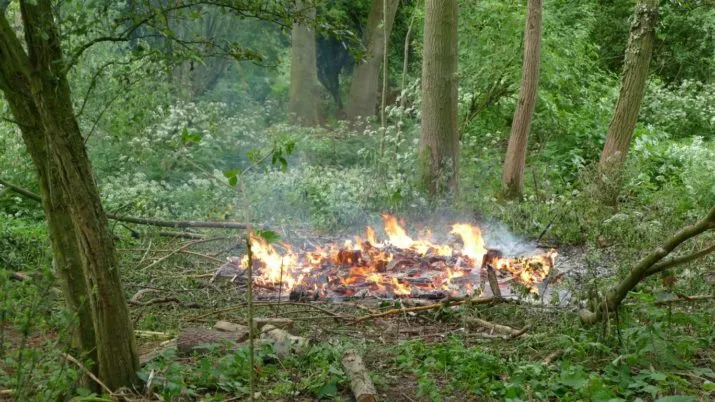 img 20170518 wa0024 e1495137809447