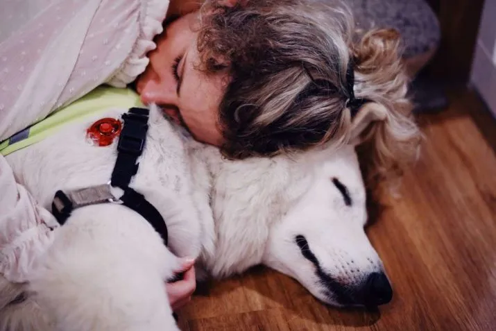 imgd70a7b259f7419104c141672d3f95390 e1512068663779