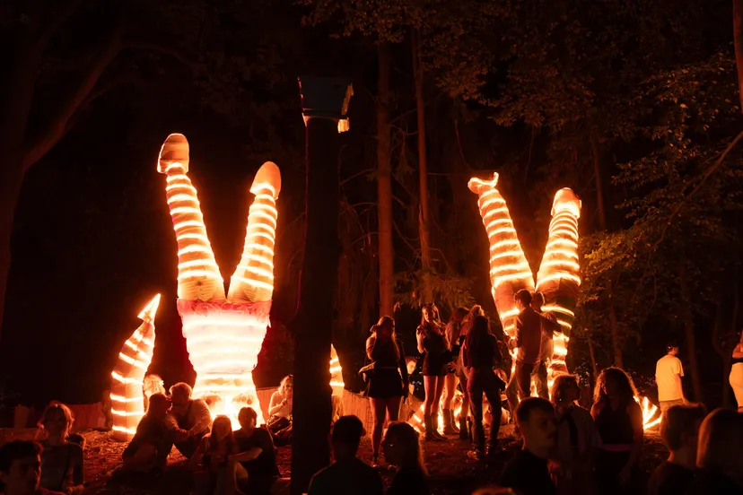 jurrenieuwenhuis intothewoods23