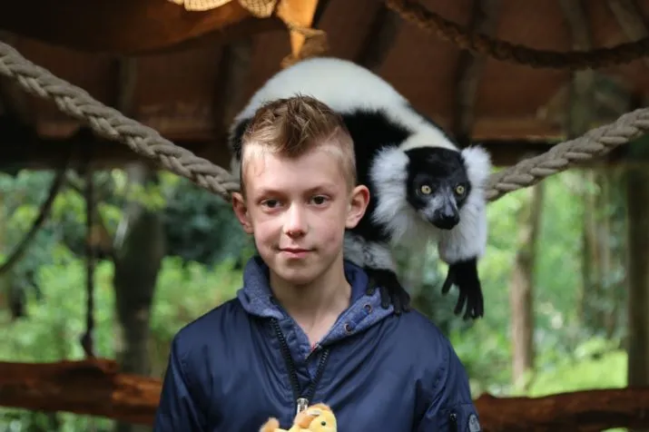 kas dierennerd 2017 e1492875747400