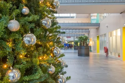 kerstinmeandercontent