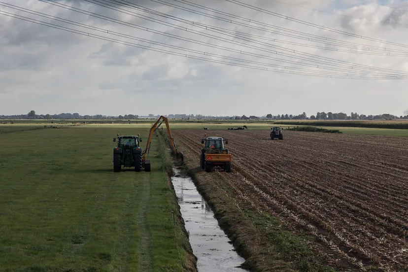 najaarsschouw 2023 1