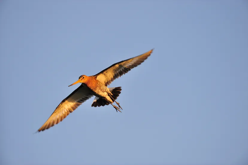 natuurmonumenten martin van lokven namo65504
