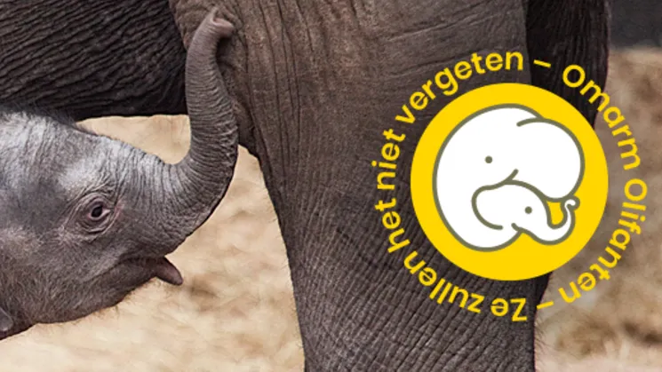 normal 2738f00bb3a3f1854eef69537ce0c946a26570f0