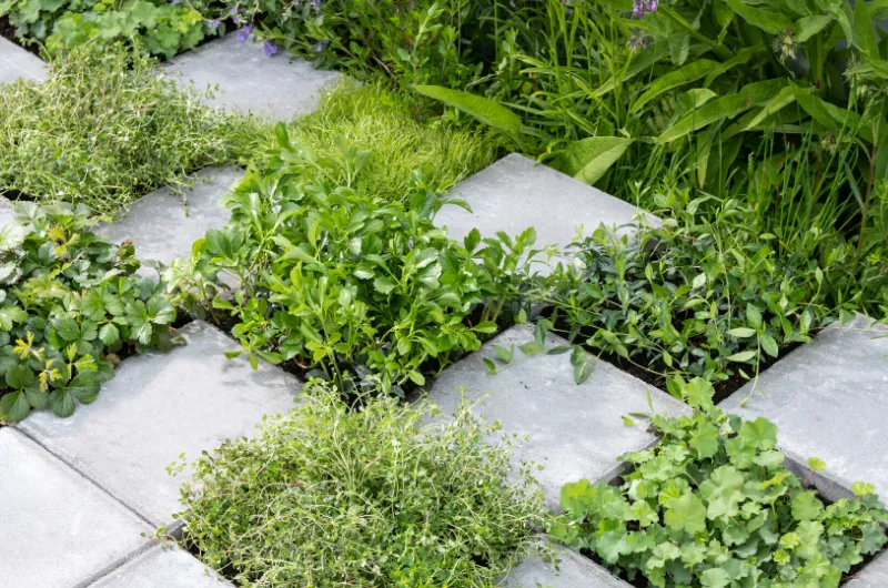 ontwerp zonder titel