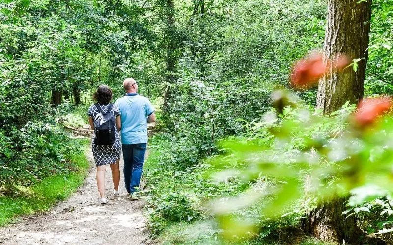 ontwerp zonder titel 76