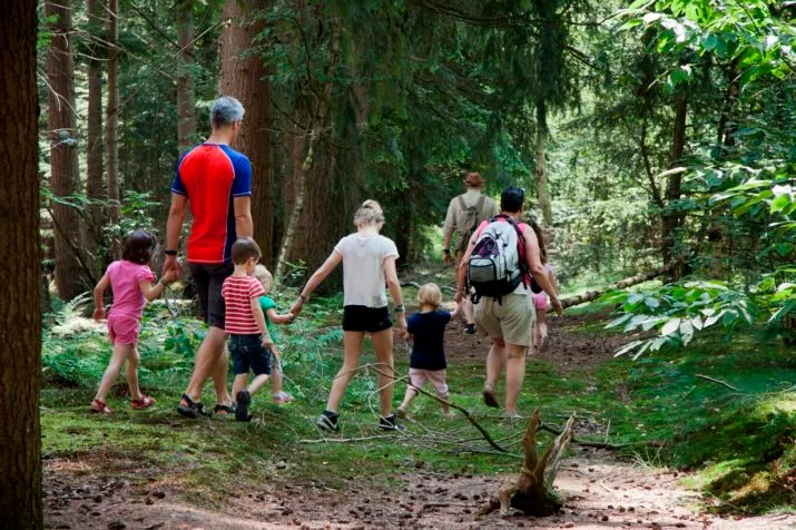 op reis in dierenpark amersfoort e1499536652260