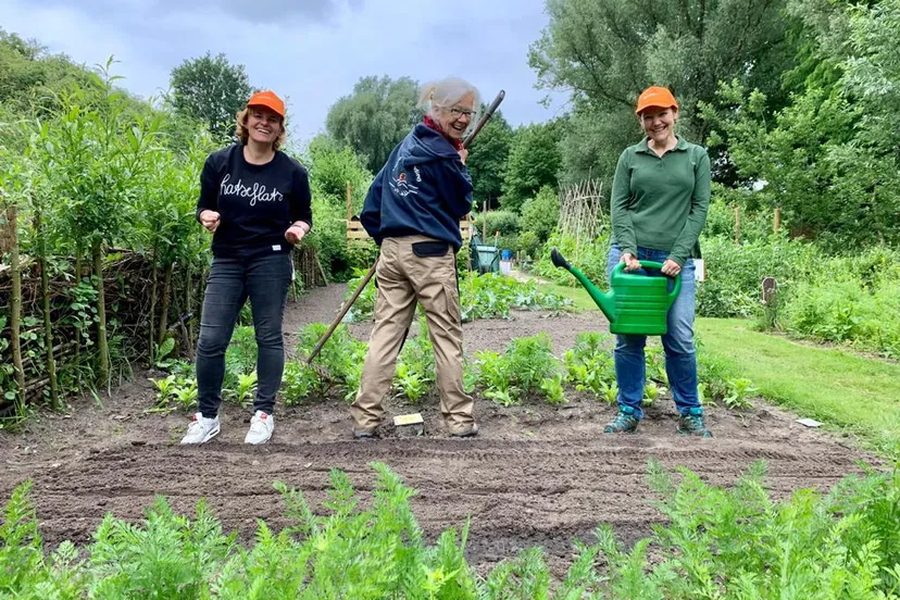 orangeday gsk amersfoort 24juni2021 tuinenvanverbinding