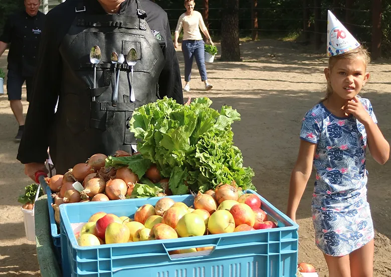 pierre wind olifantentaart 4