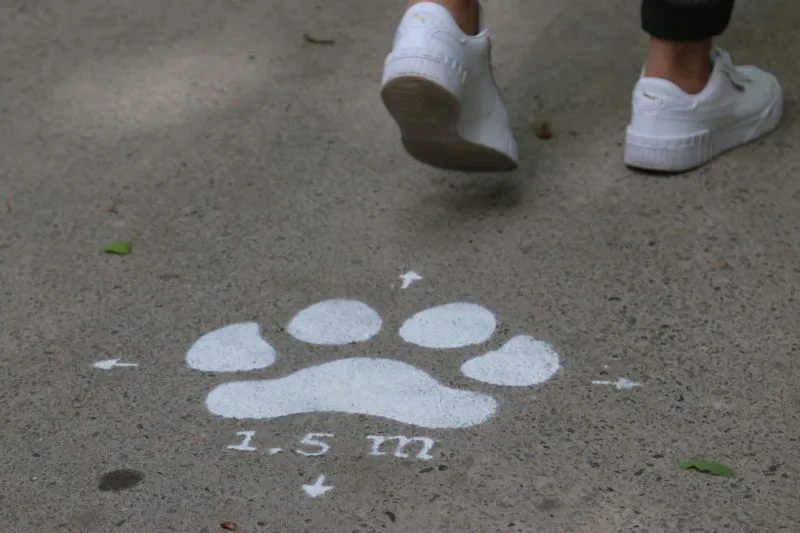 pre opening park 77 min e1590397902575