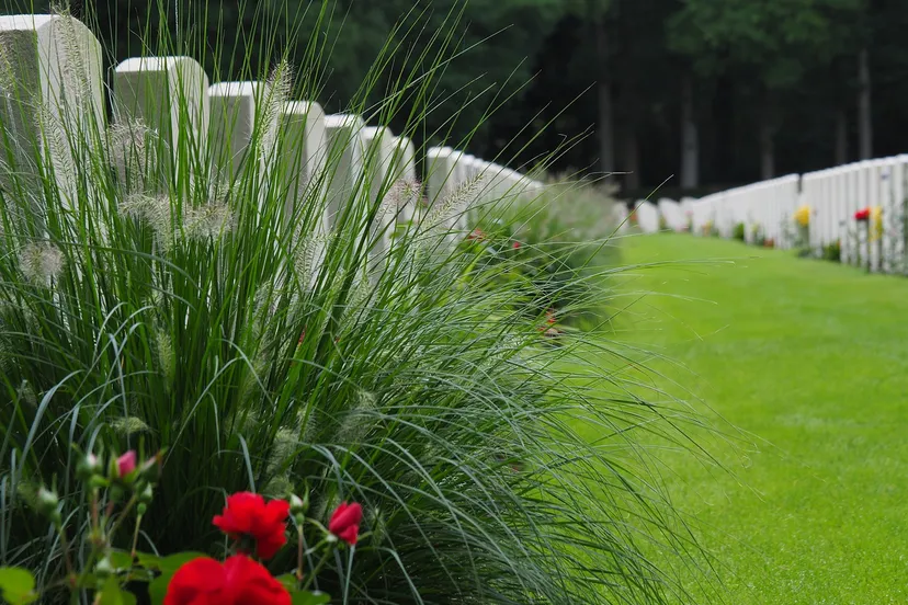 remembrance day g66f66f632 1280