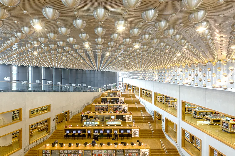 rensenfotografie rechtenvrij 7