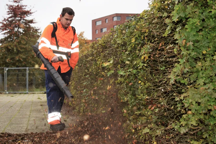 roy verkerk blaast blad