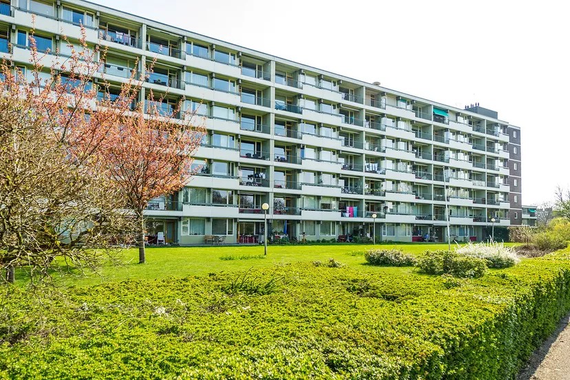 schuilenburg undinestraat 31 221 005