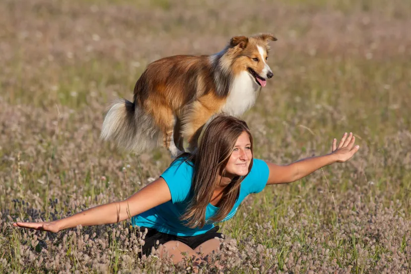 shutterstock 2262463722 scaled