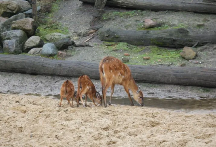 sitatoenga jongen buiten 1 e1488891323492