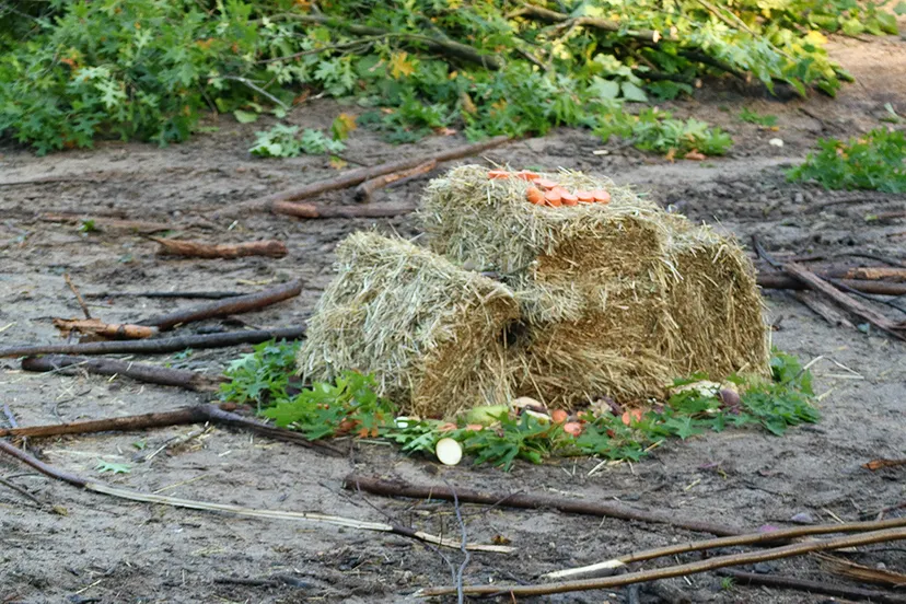 thabo verjaardagstaart 2