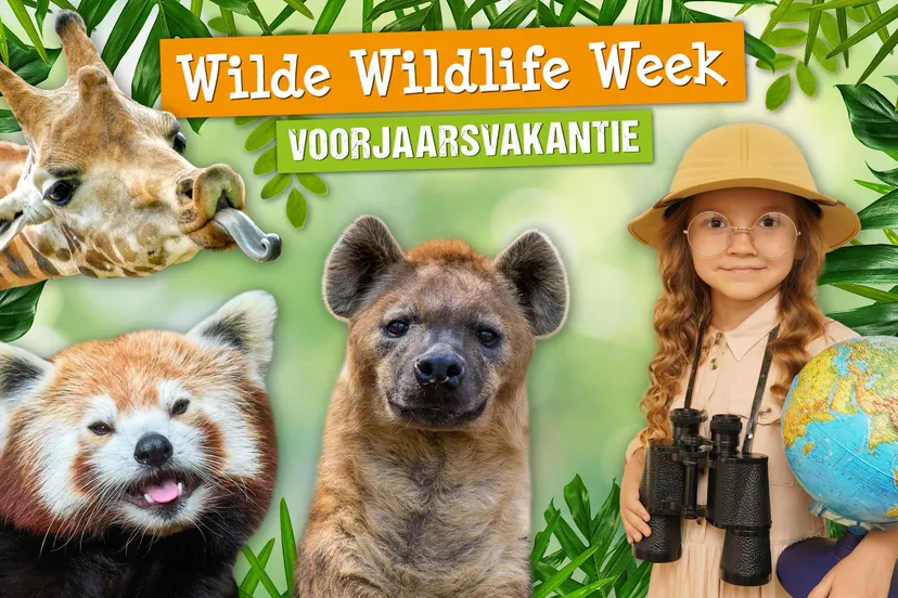 wij vinden het belangrijk om kinderen te activeren om zich in te zetten voor behoud van de natuur