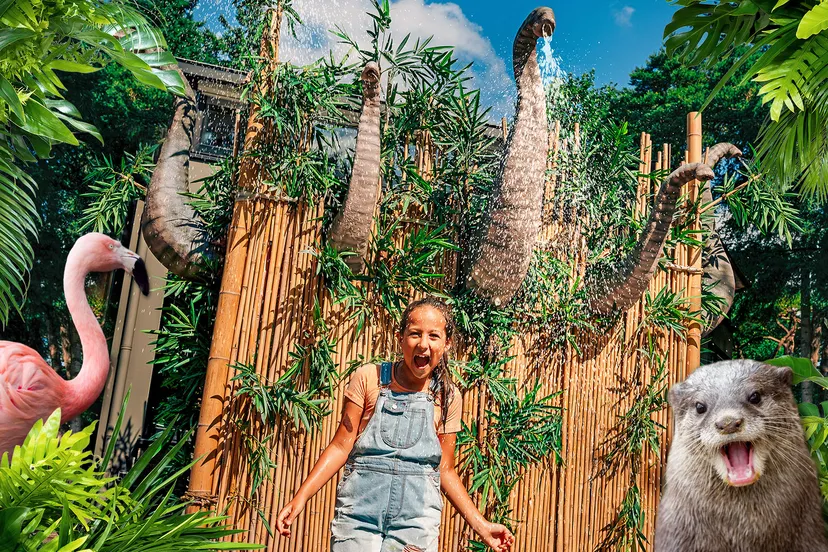 zomervakantie vol waterpret gaat van start in dierenpark amersfoort