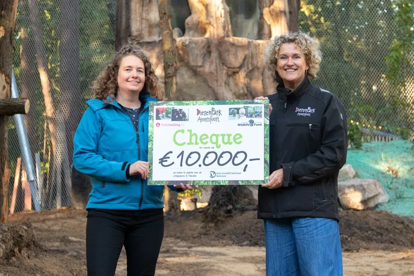 ticketveilingnl en dierenpark amersfoort overhandigen cheque chimpanseetours aan jane goodall instituut