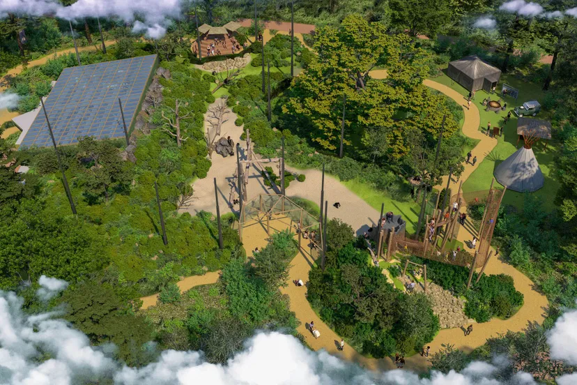 met 1800 m2 aan klim en bewegingsruimte biedt de vallei de chimpanseegroep bijna drie keer zoveel ruimte als voorheen