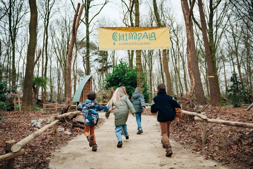 vandaag opent dierenpark amersfoort met trots de deuren van haar nieuwste themagebied de chimpanseevallei